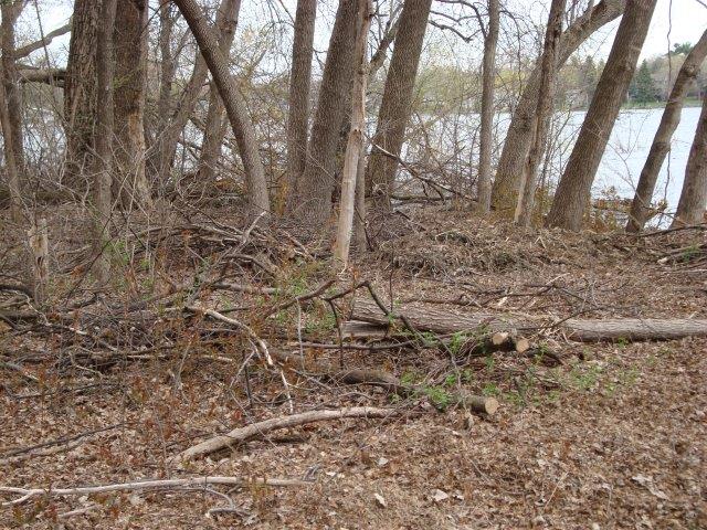 0604 Nature Preserve 2017-19