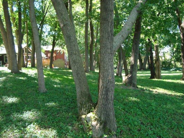 0707 Homeowners' Easement 2019