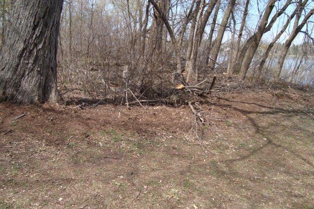 1005 Nature Preserve Dumping